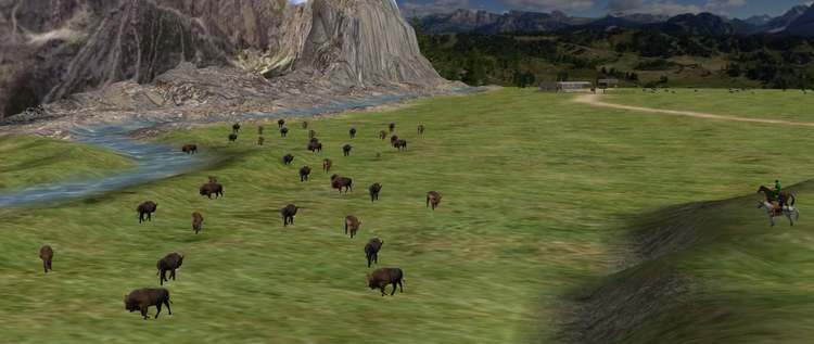 Bisons.thumb.jpg.17adb213d77809d61138a12