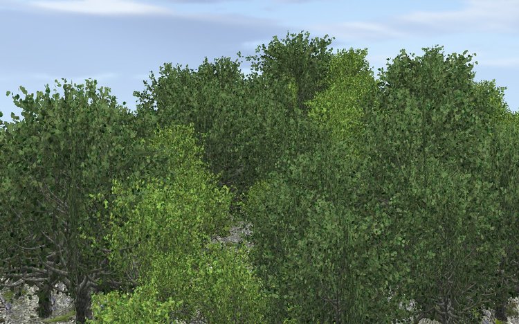 020.thumb.jpg.862e9c30c4627cd3f7e29d256a