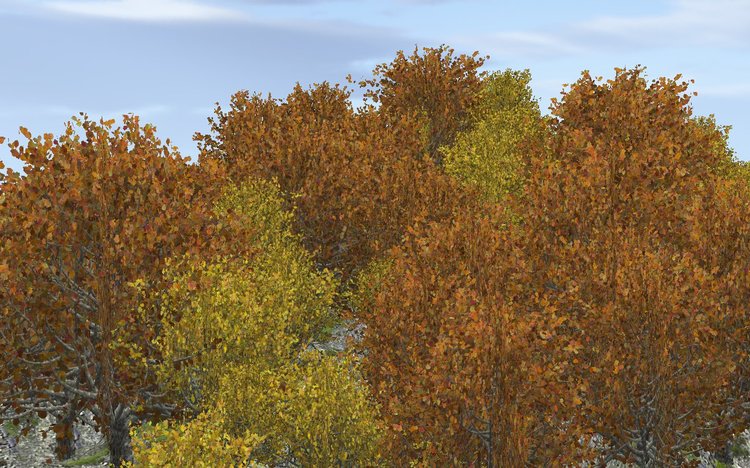 021.thumb.jpg.5787b964b37fb8f61233832535