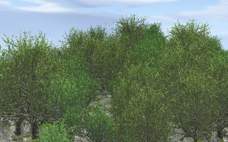 022.thumb.jpg.ccd3f0e5f484fa29f45499bbd1