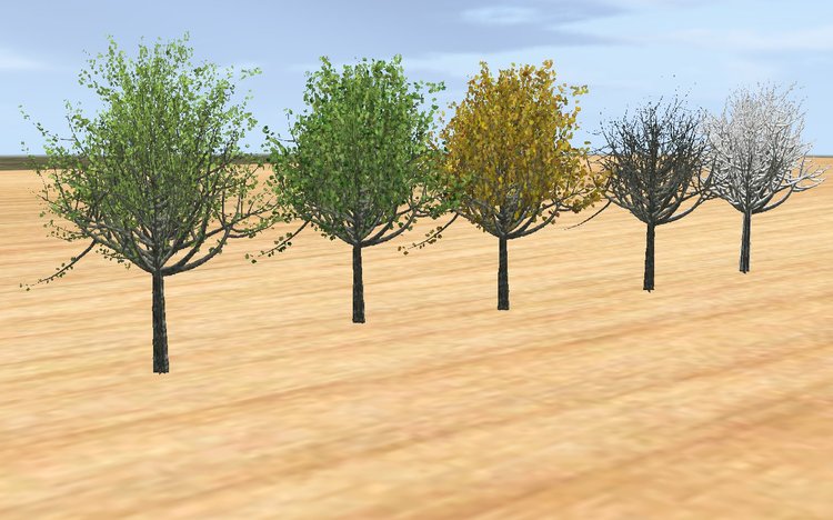 18.thumb.jpg.fc09fb25a4aa0f536f27d540aa6