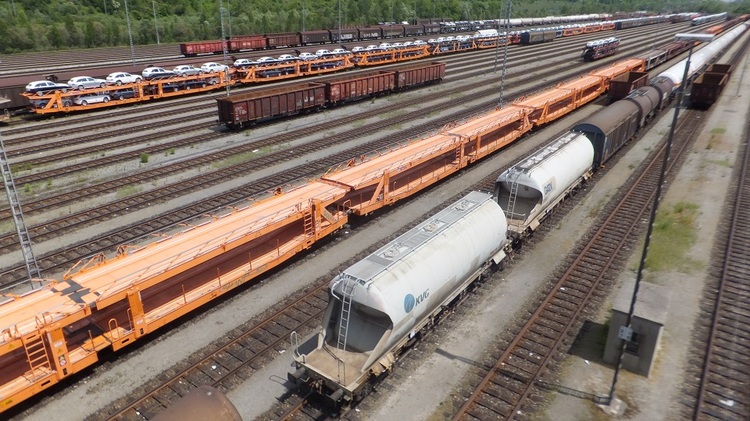 DSCF5050k.thumb.jpg.8e25d6cd5a41d86b5c0c