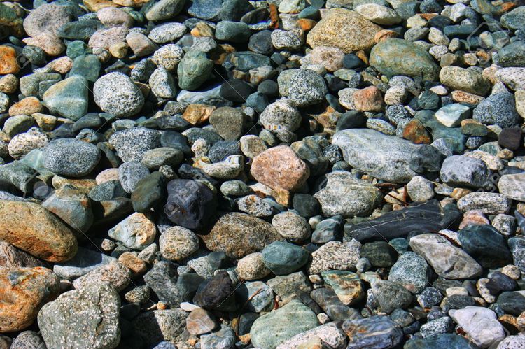 952986-Looking-Rocks-and-pebbles-in-a-river-bed-through-water-Stock-Photo.jpg