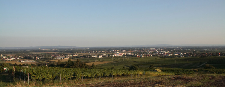 Weinberge gesp.kompr..jpg