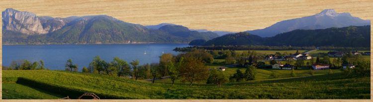 3D-Modell_Mondsee.thumb.JPG.879bdb377c68e7b927be84ef0e50ff17.JPG