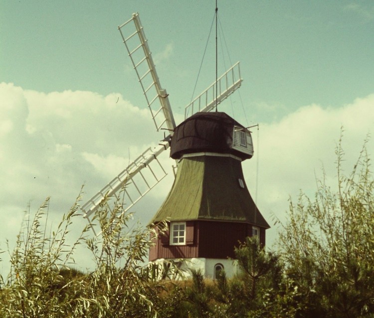 5b58df5036f39_12MhleaufAmrum1978.thumb.jpg.2a356f5731912332f9ba4492c5e5d49a.jpg