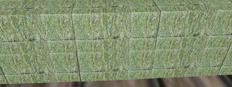 hay.jpg