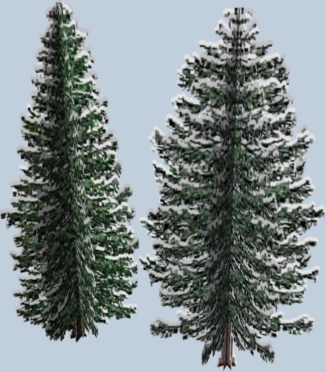 411.thumb.jpg.155d8caa9002a8f3a2eb5a86ea5c1953.jpg