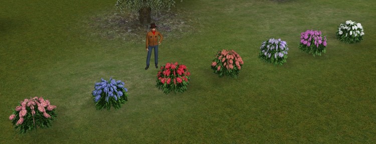 Anmærkning 2019-04-18 000619.jpg