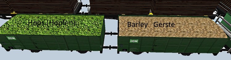 barley.thumb.jpg.6c9803ce7474f129c237a46a48147059.jpg