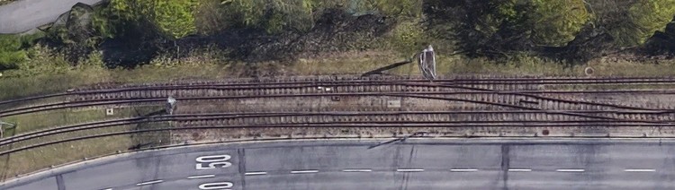 702716403_61StuttgartGeroksruhe.thumb.jpg.c1378cd723533954b52f30b97e5d0100.jpg