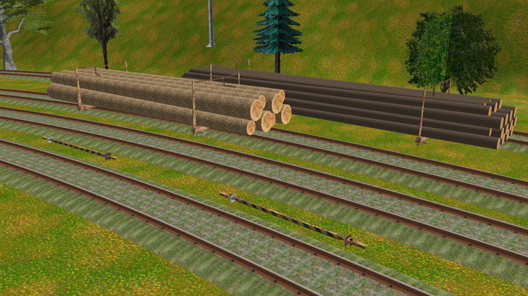 holz und Kuppel.jpg