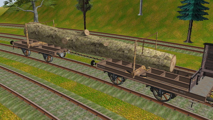 old log.jpg
