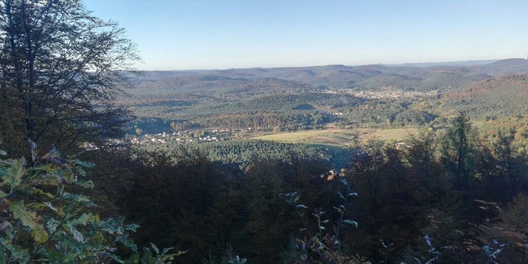 Pfalz_Elsass.thumb.jpg.af6b7dd1951b66d047f7bef74b24441f.jpg