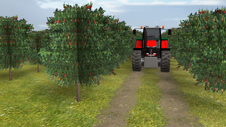 apfelbaum.jpg