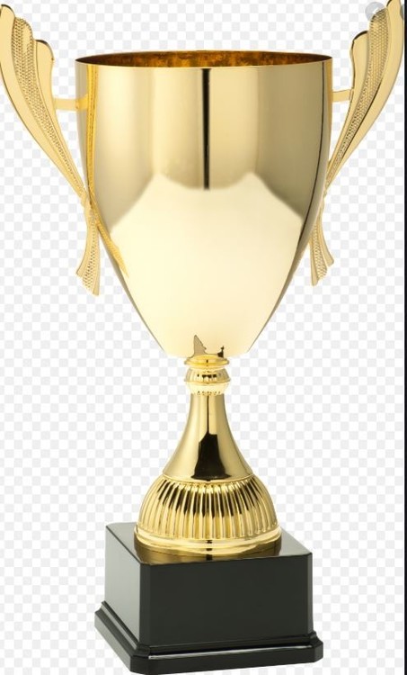 pokal.thumb.jpg.bdf40ee7d66292cf5b5b2ffe422de4ae.jpg