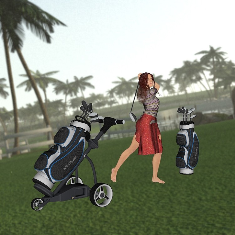 Golf_1.thumb.jpg.27d63c853a390de093bbbed4d9ad15fe.jpg