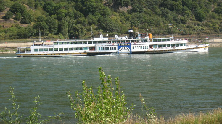 1310232849_BlickaufdenRhein.thumb.JPG.7c319520b3cea1dff83ac5a2bfac5f36.JPG